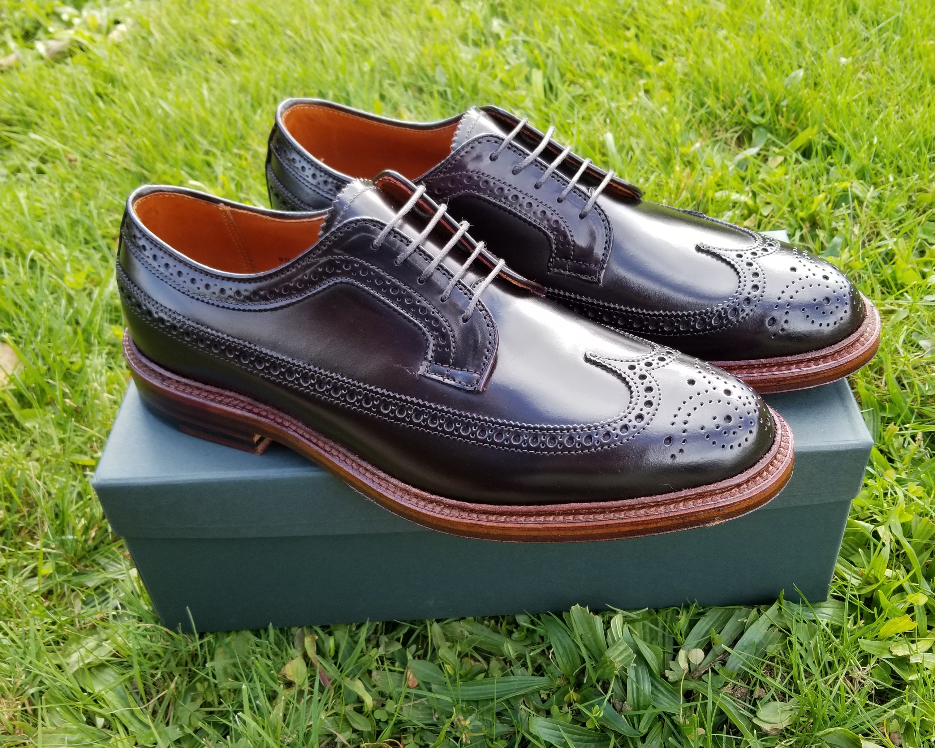 Alden D7509 Color 8 Long Wing Blucher Antique Edge