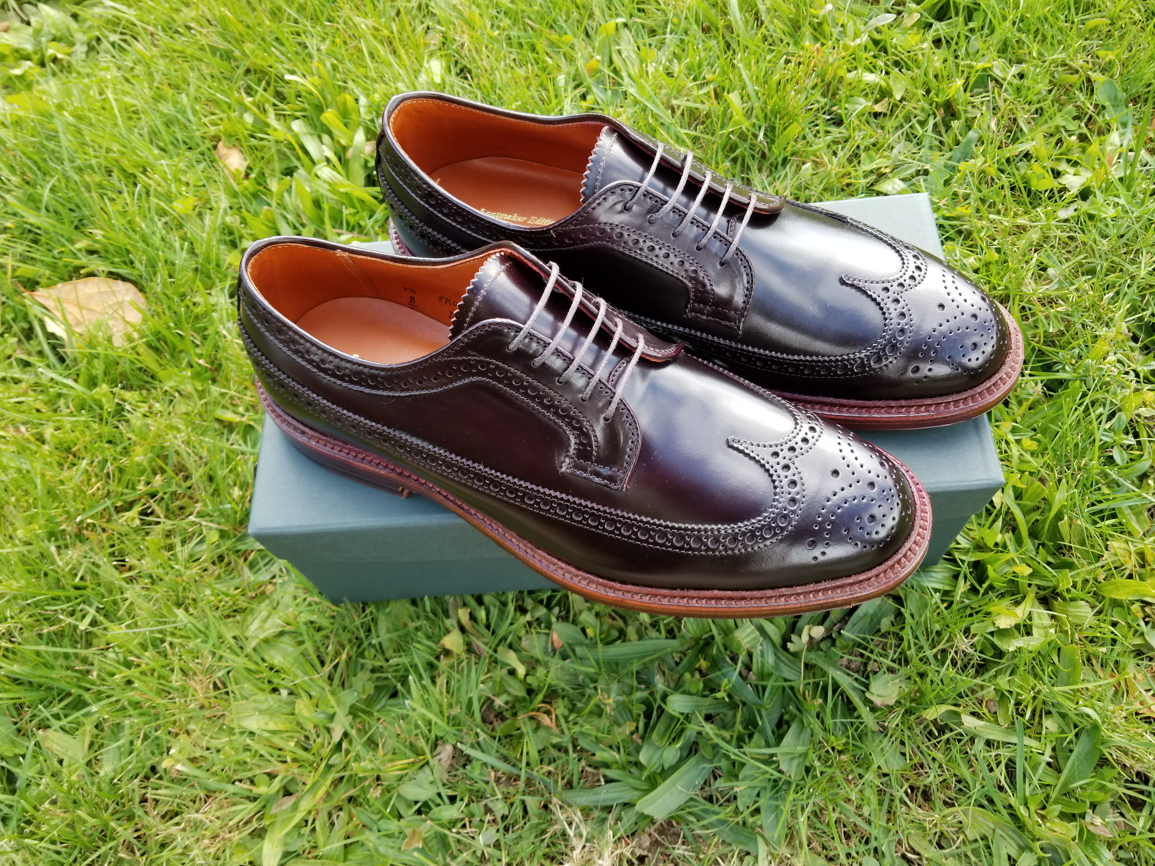 Alden D7509 Color 8 Long Wing Blucher Antique Edge