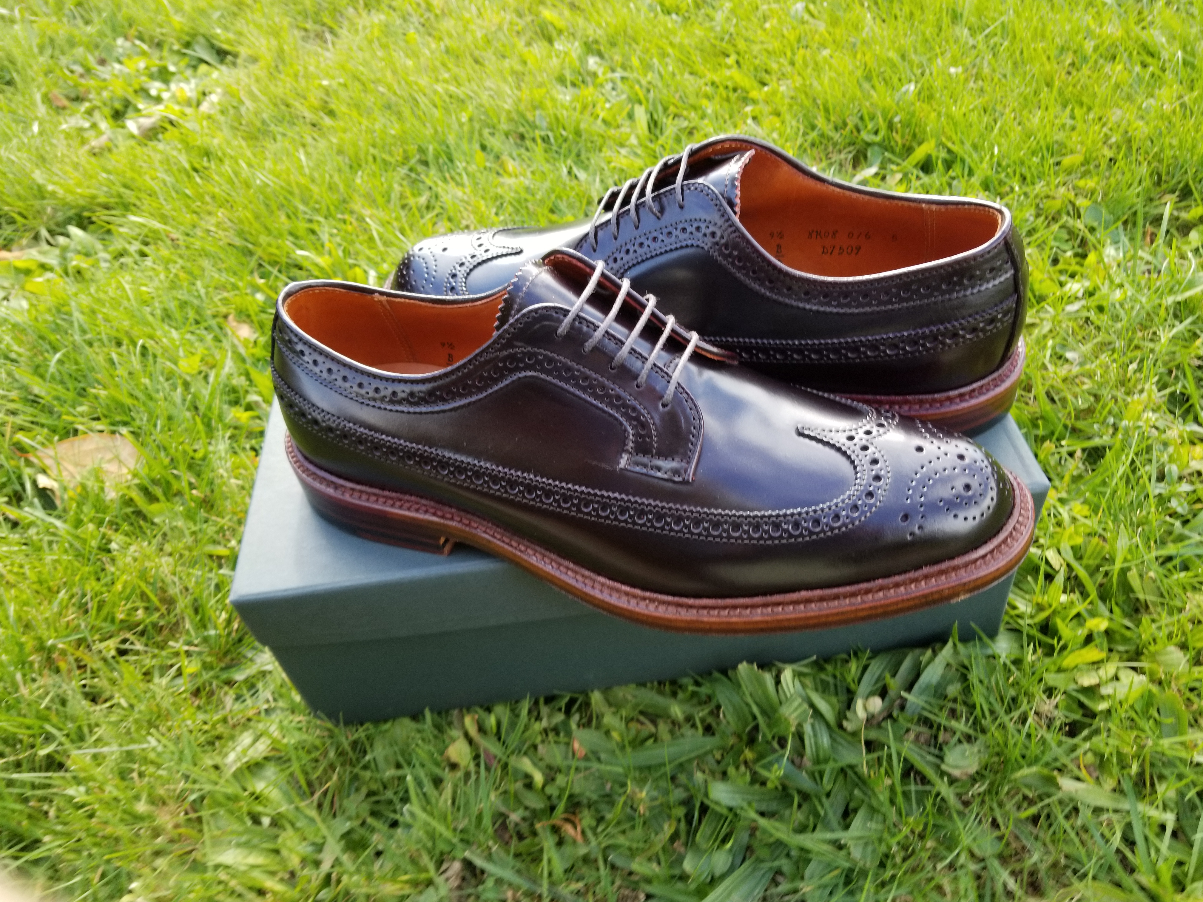 Alden D7509 Color 8 Long Wing Blucher Antique Edge