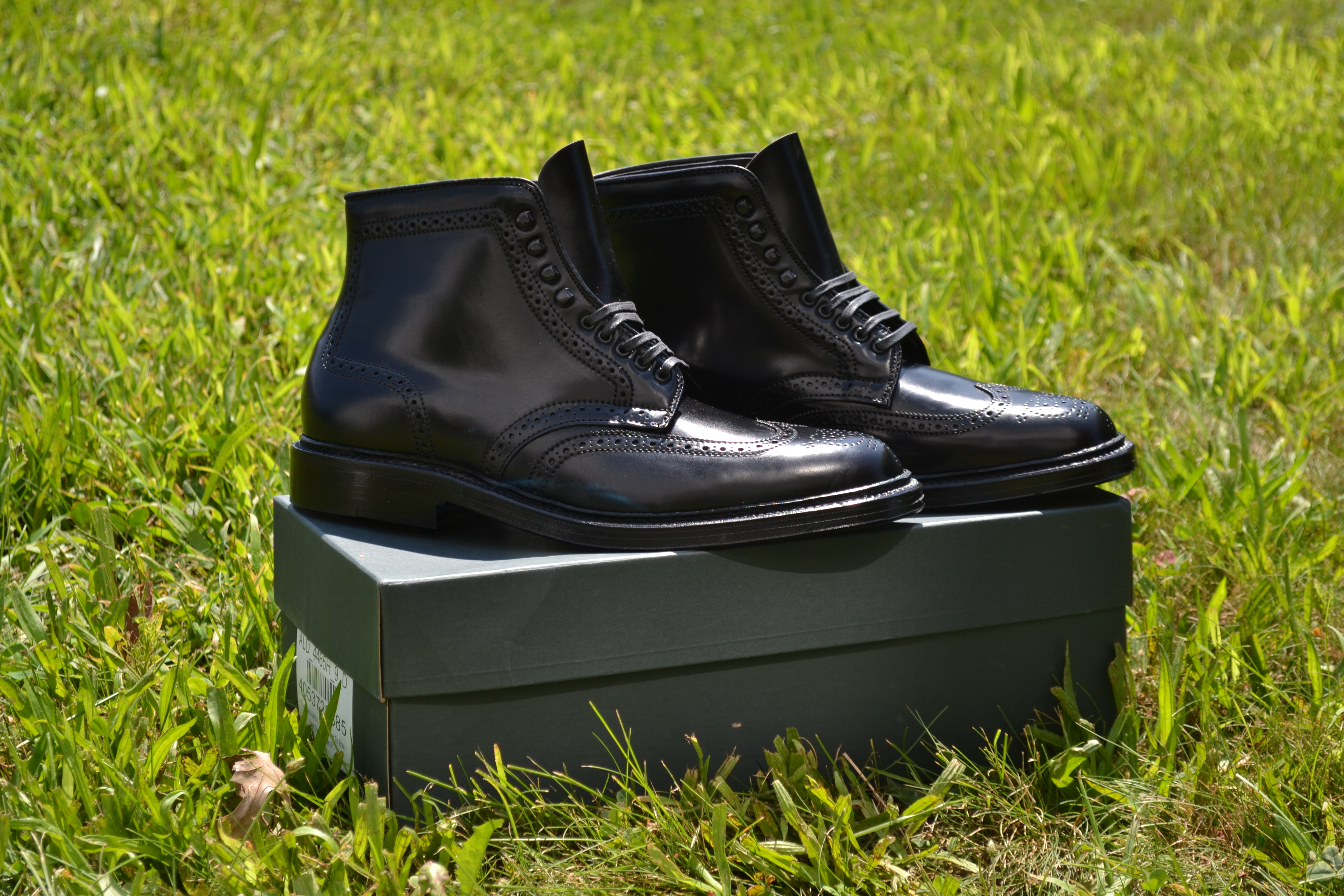 Alden 4465H Black Shell Cordovan Wing Tip Boots