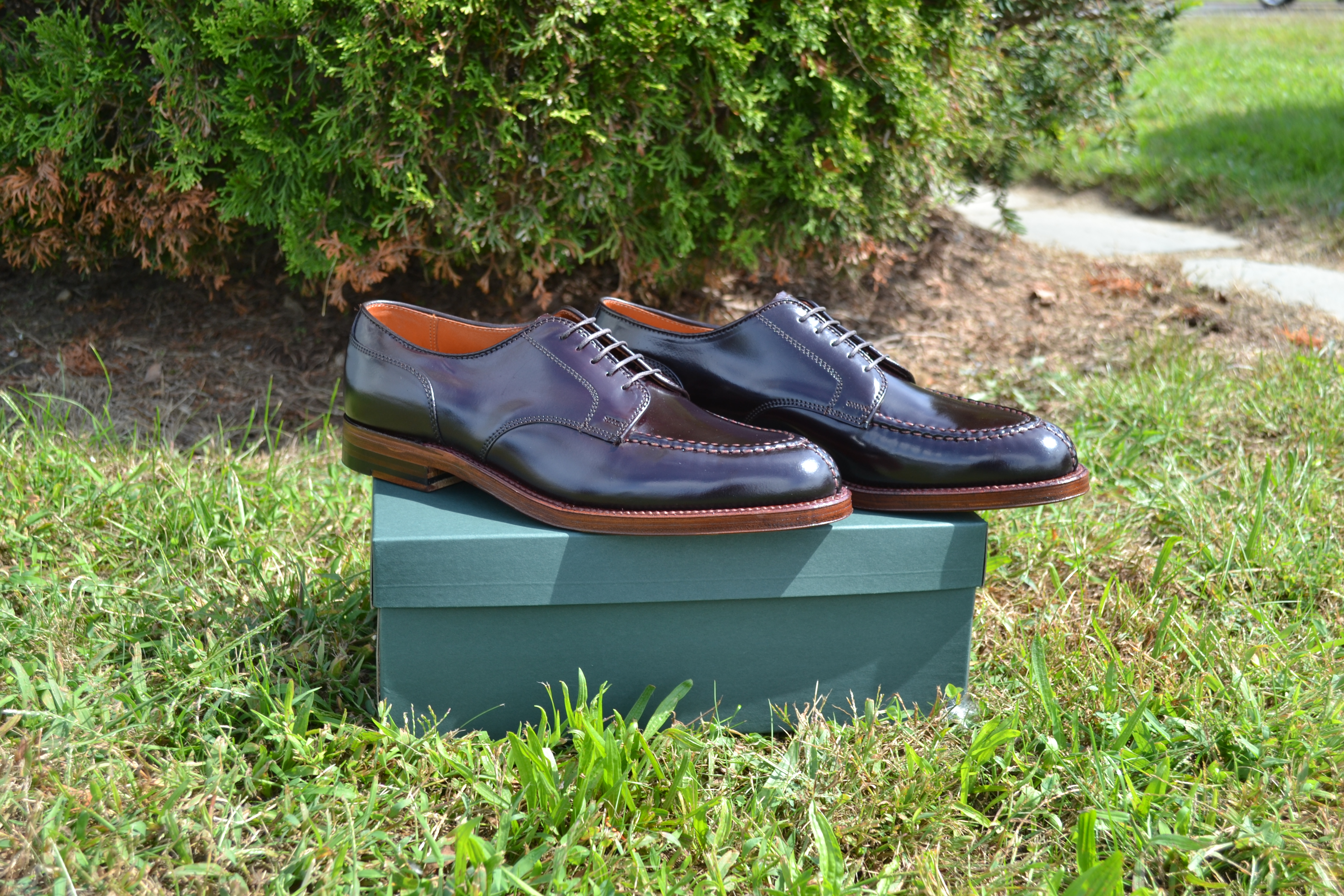 Alden Shoes Mens NST Tie Shell Cordovan Blucher D7606 Color 8