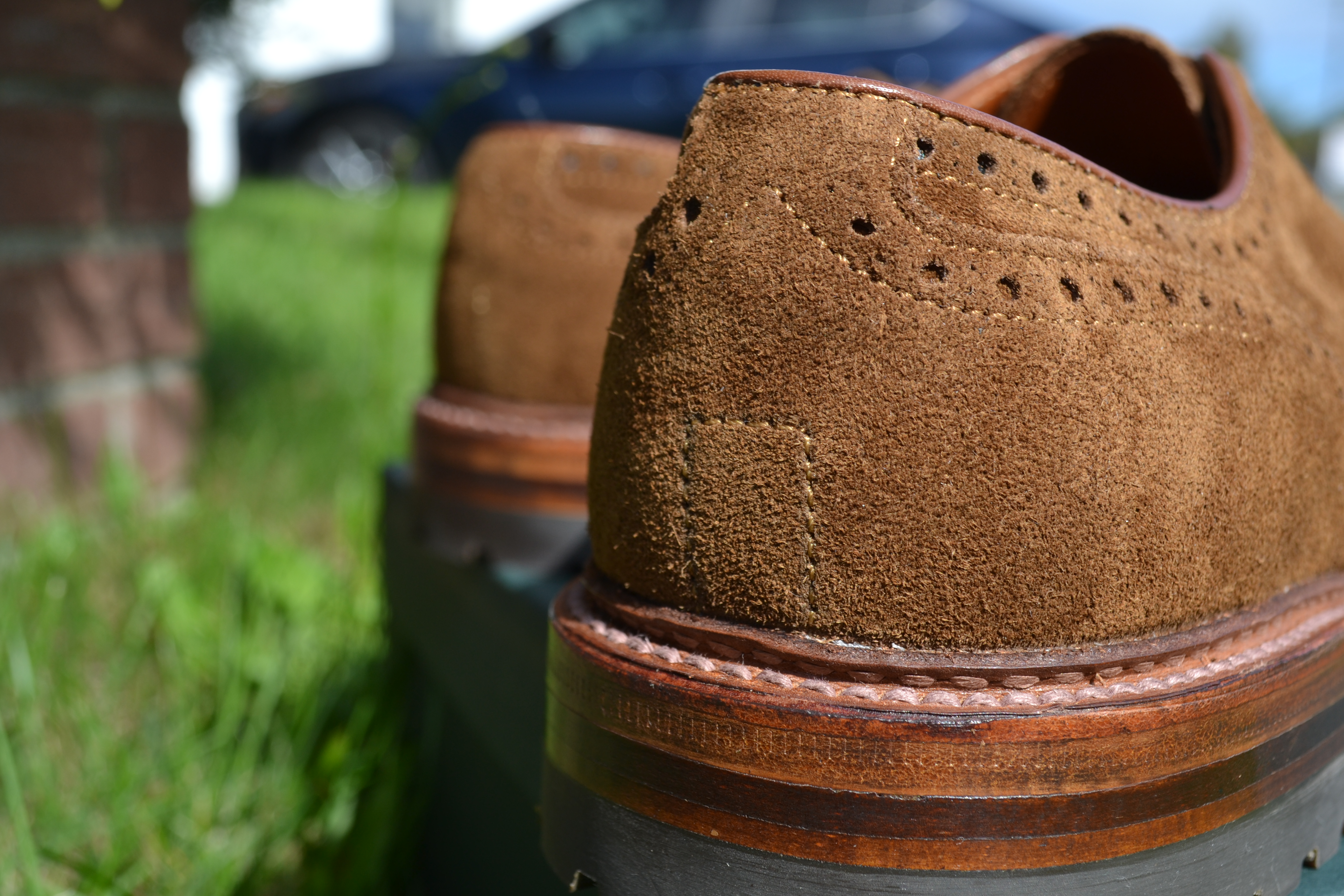 Alden Snuff Suede Medallion Tip Blucher