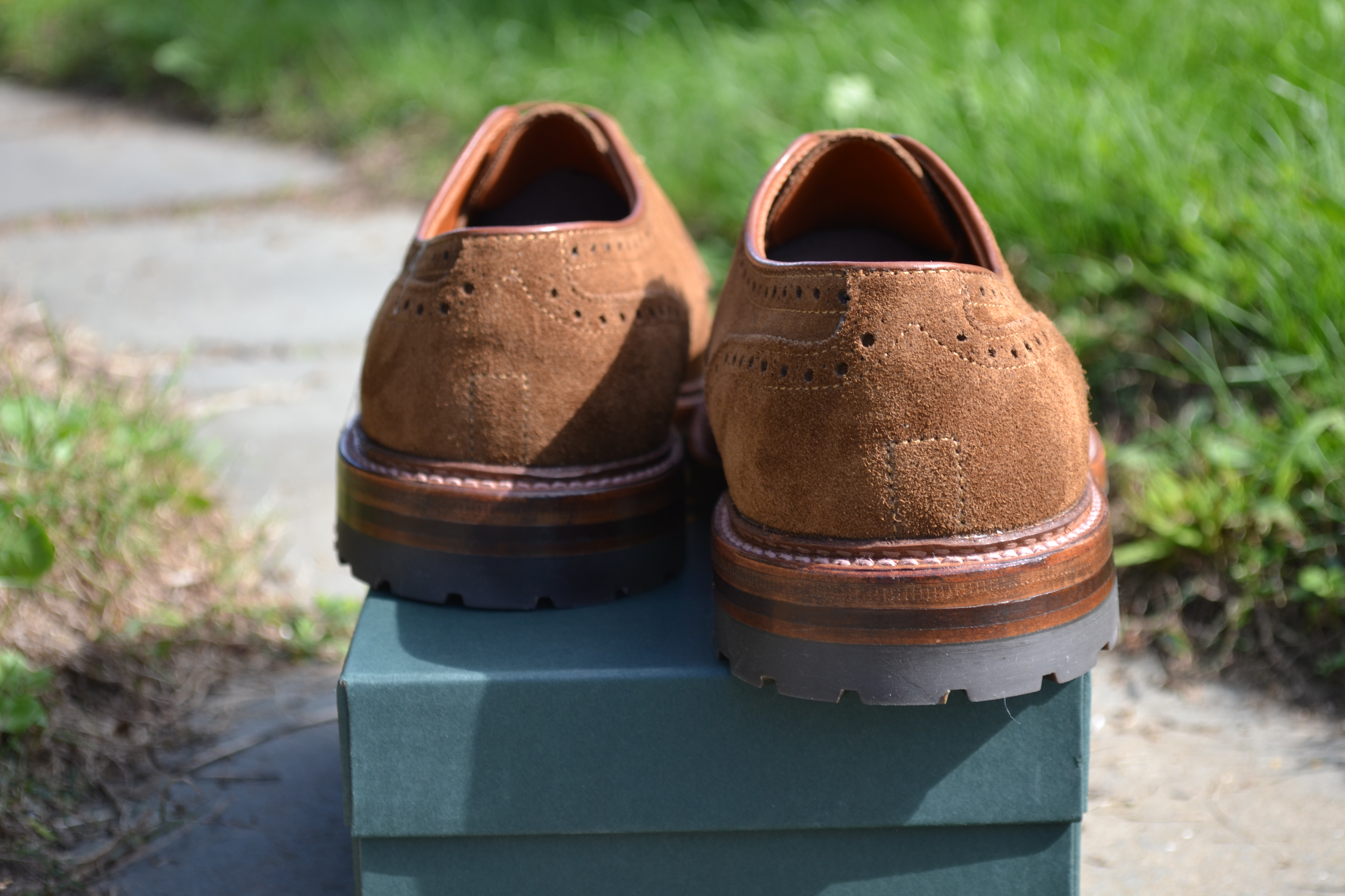 Alden Snuff Suede Medallion Tip Blucher