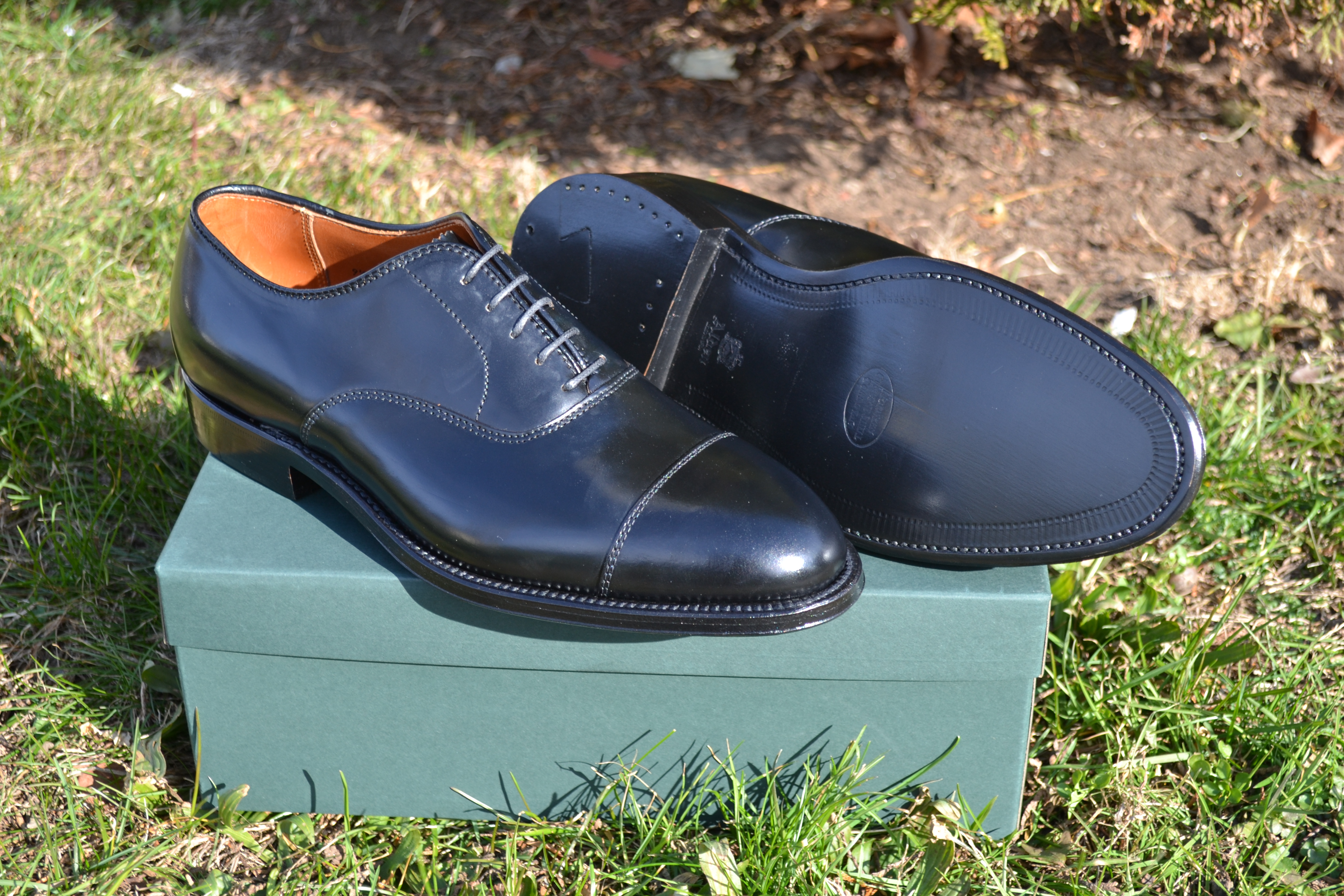 Alden Black Shell Cordovan Cap Toe Bal Oxford 9071