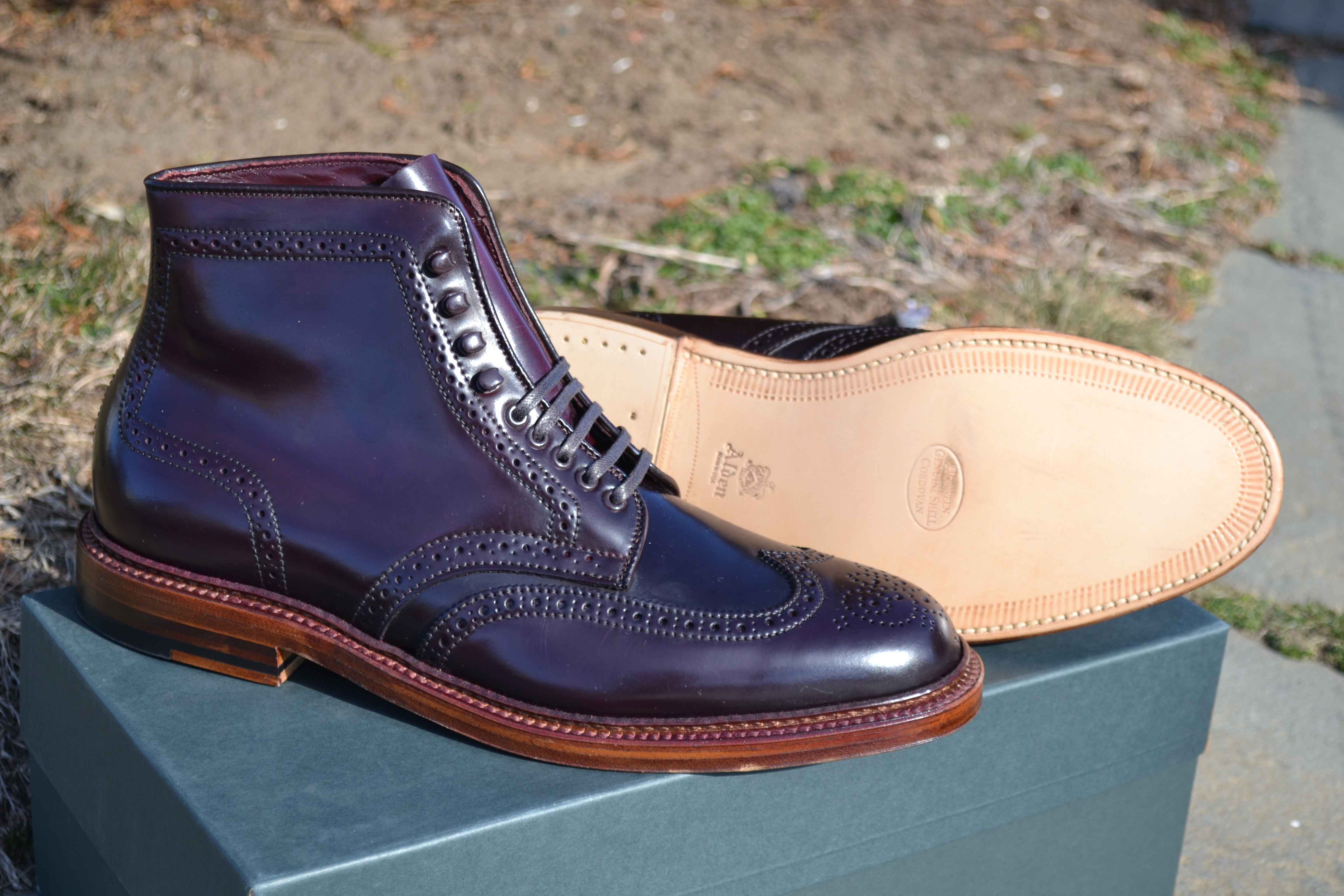 Alden Color 8 Wing Tip Boot Antique Edge D8804H