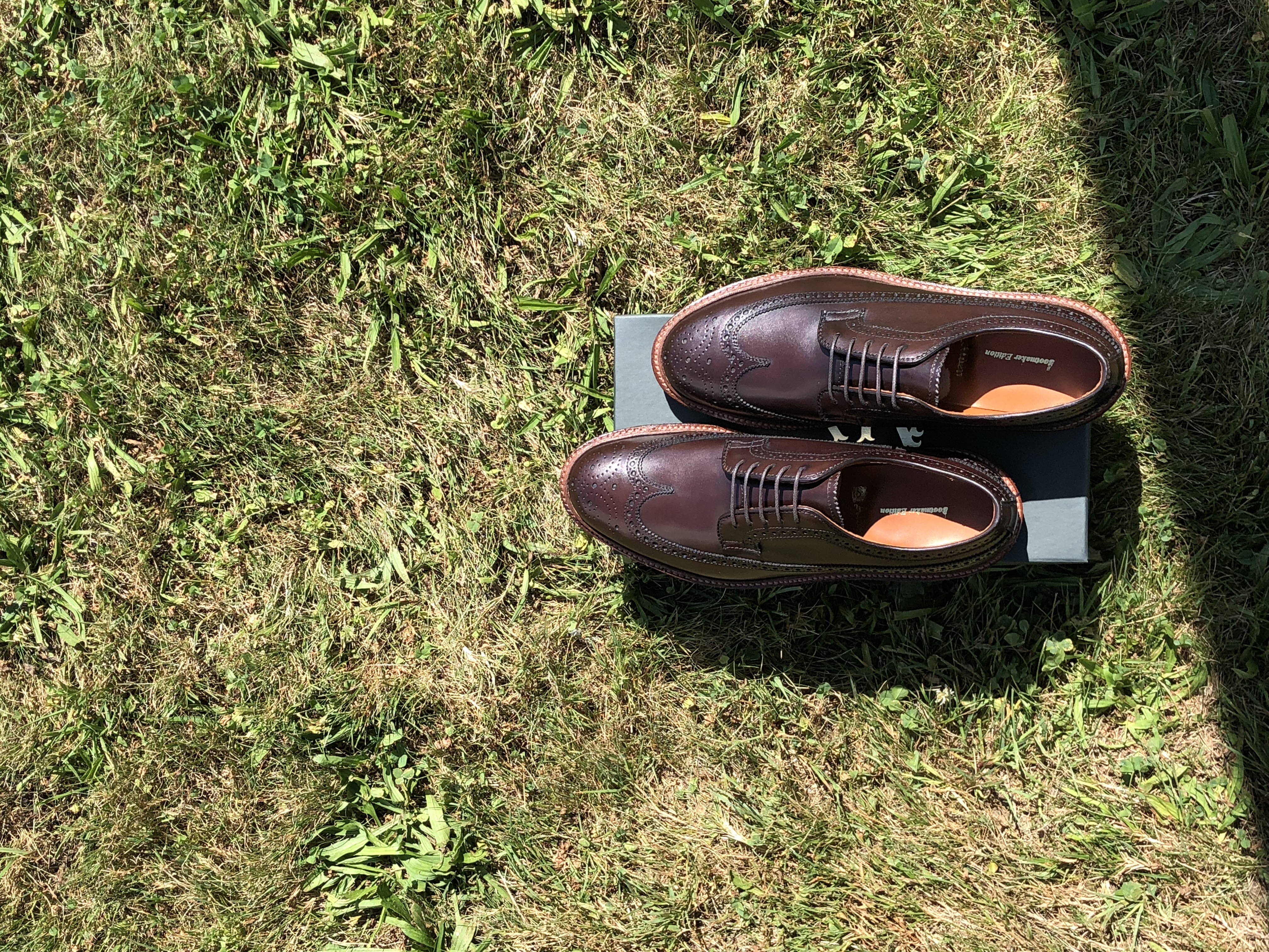 Alden Shoes Longwing All Weather Walker