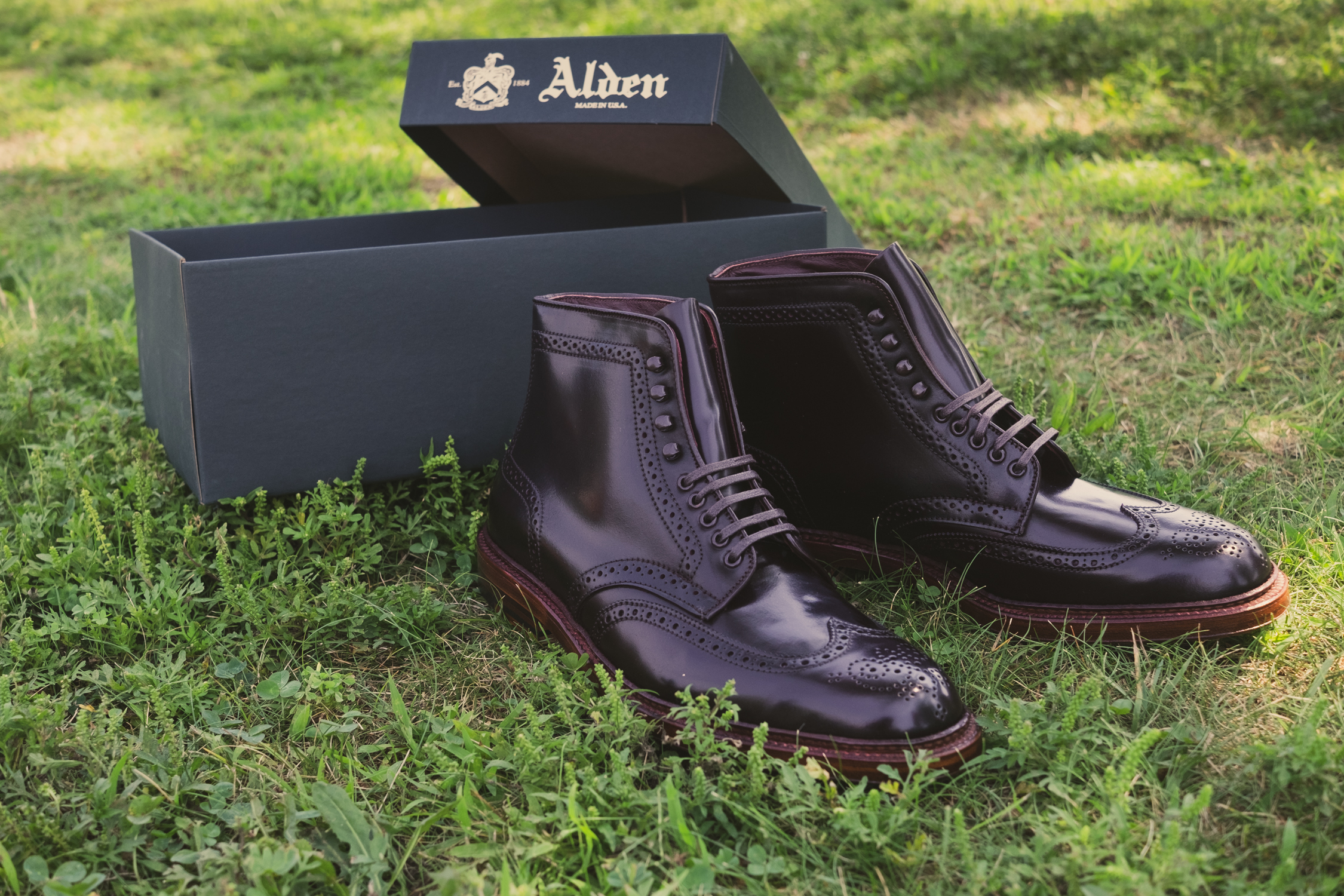 Alden Color 8 Wing Tip Boot Antique Edge D8804H